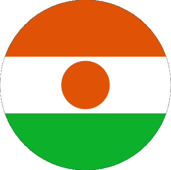 Tondo Niger Africa Bandiere 