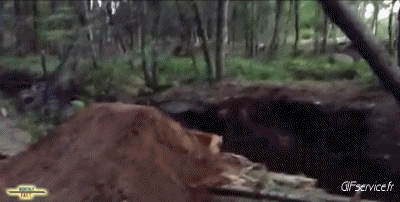 Falls - Fail Mountain biking Sports Humor -  Fun 