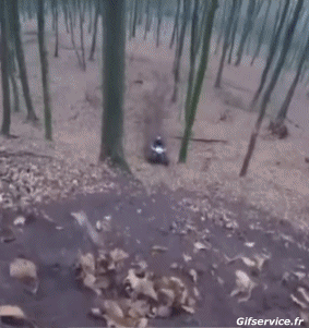 Gamelle - Fail 02 Quad Transports Humour - Fun 