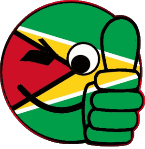 Faccina - OK Guyana America Bandiere 