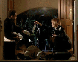 Les Experts CSI Las Vegas International TV series Multi Media 