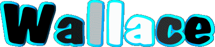 Wallace W MASCULINE -  UK - USA - IRL - AUS - NZ First Names 