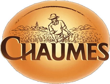 Chaumes Frankreich Käse Essen 