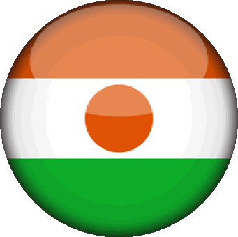 Rond Niger Afrique Drapeaux 