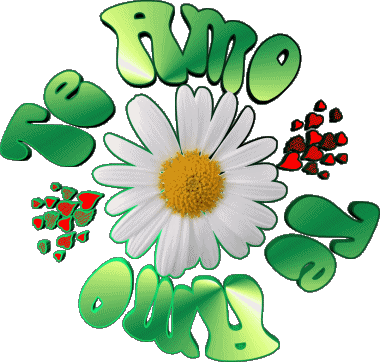 04 Te Amo Spagnolo Messagi 