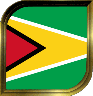 Square Guyana America Flags 