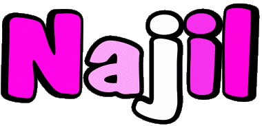 Najil N MASCULINE - Maghreb Muslim First Names 