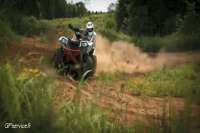 Fun - Win Quad Transport Humor -  Fun 