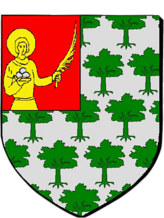 Blazon-Blazon SAINT ETIENNE DE TULMON 82 Departments - Cities France Flags 