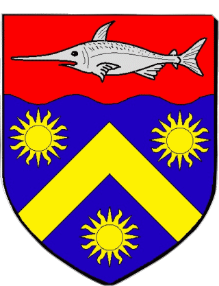 DESHAIES 971 Departments - Cities France Flags 