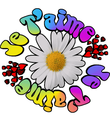 05 Je T'aime Französisch Nachrichten 