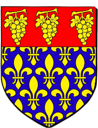 VILLENEUVE LE ROI 94 Departments - Cities France Flags 