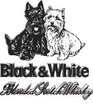 Black and White Whisky Bebidas 