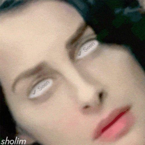 Sholim GIF Artists Humor -  Fun 