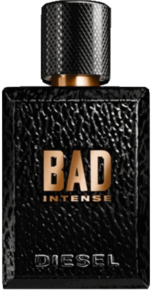 Diesel Couture - Parfum Mode 