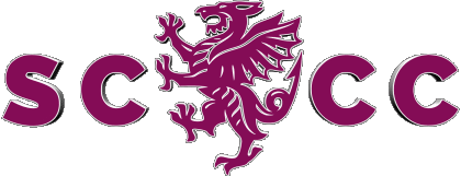 Somerset County Regno Unito Cricket Sportivo 