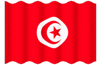 Sventola Tunisia Africa Bandiere 