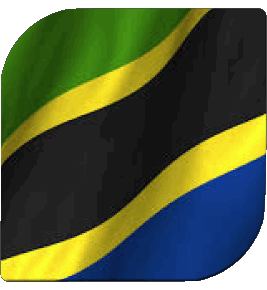 Square Tanzania Africa Flags 
