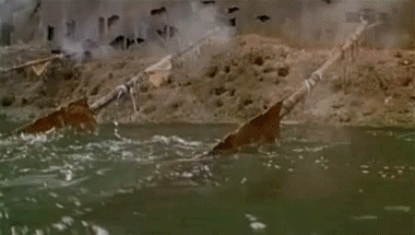 Waterworld Waterworld Movies International Multi Media 