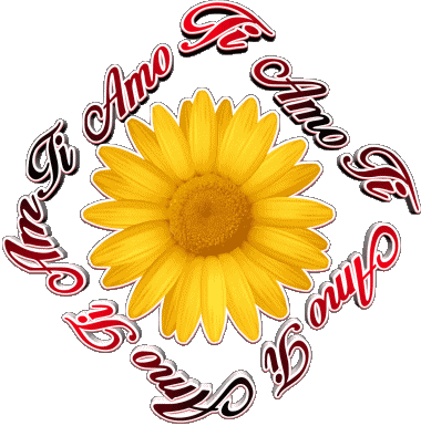 02 Ti Amo Italien Messages 