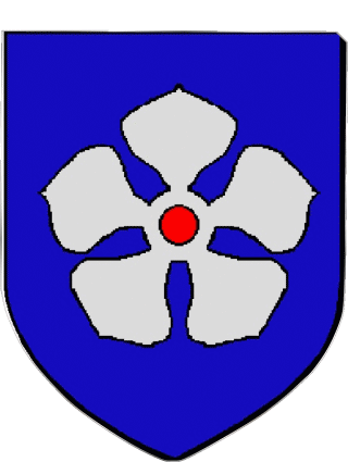 Blasone-Blasone HAGUENAU 67 Dipartimenti - Città Francia Bandiere 