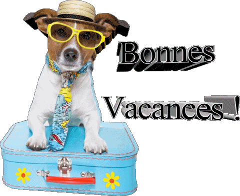 29 Fondo transparente Bonnes Vacances Francés Mensajes 