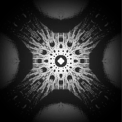 Connor Bell GIF Artista Umorismo -  Fun 