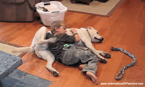 01 Hunde Tiere Humor -  Fun 