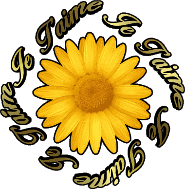 03 Je T'aime Francese Messagi 