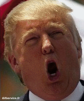 Donald Trump-Donald Trump People Serie 03 People - Vip Morphing - Sehen Sie aus wie Humor -  Fun 