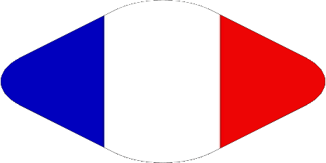 Oval National France Flags 