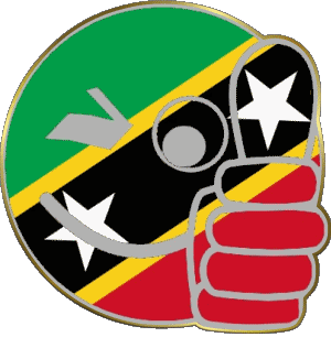Faccina - OK Saint Kitts e Nevis America Bandiere 