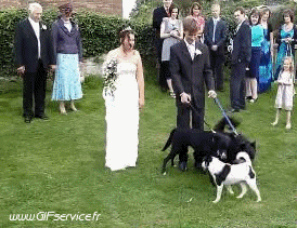 Serie 01 Weeding PEOPLE Humor -  Fun 