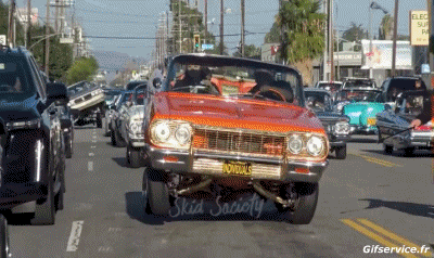 Lowriding Cars Transport Humor -  Fun 