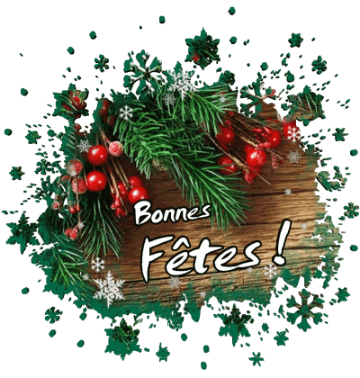 Serie 14 Bonnes Fêtes (Noël) Francés Mensajes 