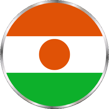 Rond Niger Afrique Drapeaux 