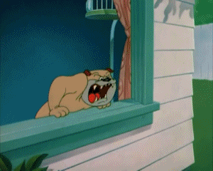 The Counterfeit Cat Tex Avery Cartoni animati TV Film Multimedia 