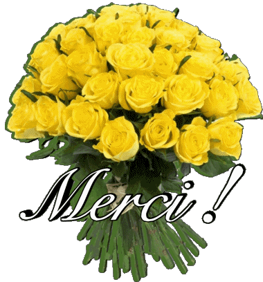 011 Merci Francés Mensajes 