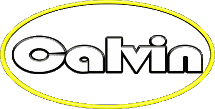 Calvin C MASCULIN - France Prénoms 