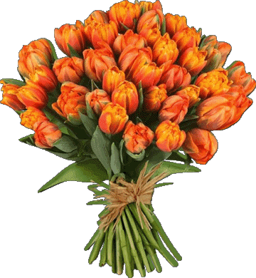 012 Transparent Background Floreale Buon Compleanno Italian Messages 