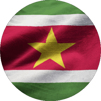 Runde Suriname Amerika Fahnen 