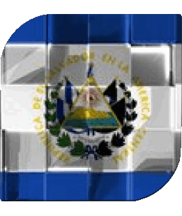 Carré Salvador Amériques Drapeaux 