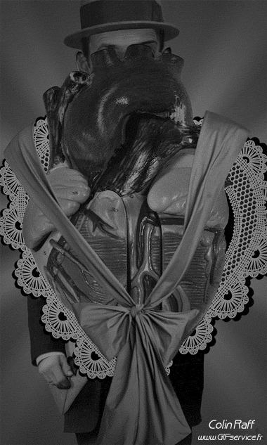 Colin Raff GIF Artistes Humour - Fun 