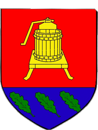 Blasone-Blasone LAGORD 17 Dipartimenti - Città Francia Bandiere 