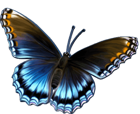 006 Fondo transparente Papillons Bon Anniversaire Francés Mensajes 