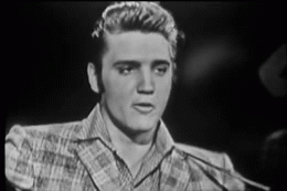 Elvis Presley Rock USA Music Multi Media 