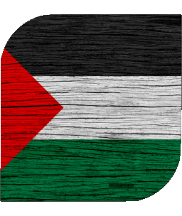 Carré Palestine Asie Drapeaux 