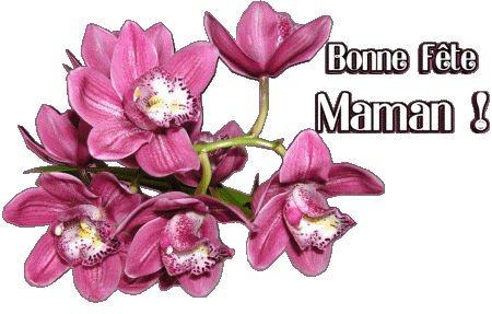 020 Bonne Fête Maman Français Messages 