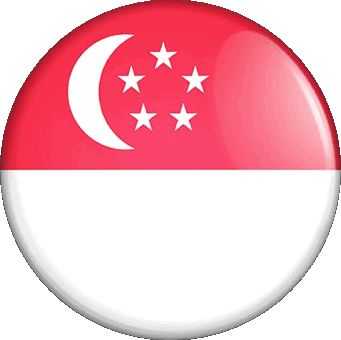 Round Singapore Asia Flags 