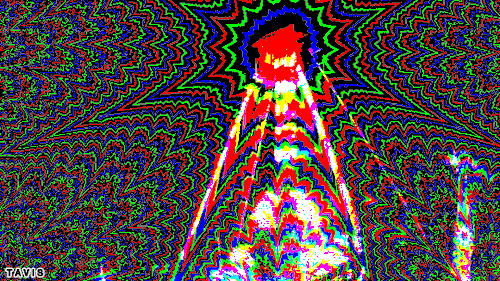 Bill Tavis GIF Artista Humor - Fun 